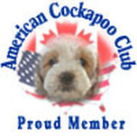 American Cockapoo Club logo